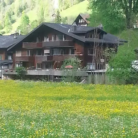 Eyhus 5 1br Opposite Staubbach Waterfalls + Parking Apartment Lauterbrunnen