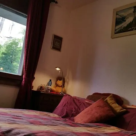 Eyhus 5 1br Opposite Staubbach Waterfalls + Parking