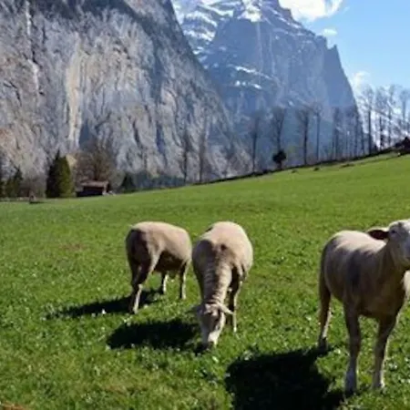 Eyhus 5 1br Opposite Staubbach Waterfalls + Parking * Lauterbrunnen